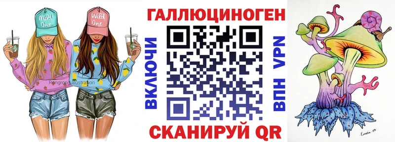 blacksprut ссылка  Мамадыш  Псилоцибиновые грибы Psilocybe 
